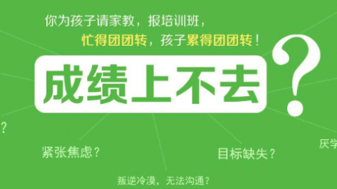 济南AI直播代理电话避坑指南：泉城老板们别让“数字员工”成了摆设
